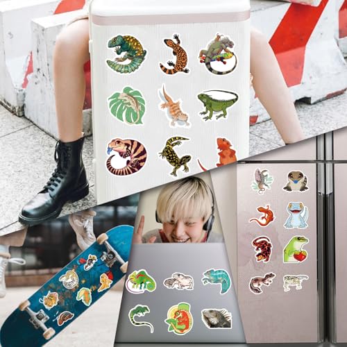Image of 55 Pcs Wall Lizard Stickers Water Bottles Laptop Phone Computer Guitar Skateboard Hydroflasks Gecko Cartoon Animal Vinyl Sticker Waterproof Aesthetic Trendy Decals for Teens Girls Adults(Lizard)