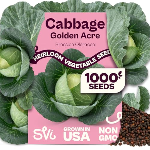 SVI 1000 Golden Acre Cabbage Seeds (Brassica Oleracea) - Green Cabbage Fast-Growing Heirloom Seed Non GMO - Great Vegetable Seeds in Seed Packets for Outdoors Vegetable Garden Beds
