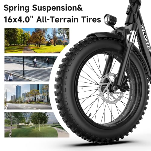 Helokeep Foldable Fat Tire Ebike