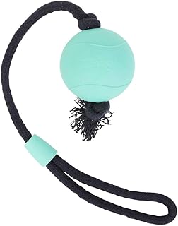 Only Natural Pet Rubber Bond Building Fetch Tug Dog Toy - Stick Floating Small XL Puppy Teach Durable Throw Launcher Flying Frisbee Boomerang Tough Aggressive Puller Chewers -Rubber Ball Rope/Teal