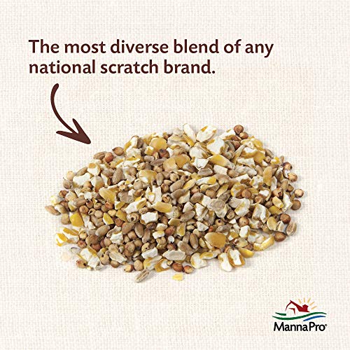 Manna Pro Ultimate Scratch Chicken Feed | Nutrient Rich Chicken Treat | 10 Lb Chicken Scratch #TOP2