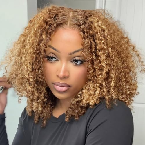 Hihmarm Highlight Ombre Curly Human Hair Wig 13x6 HD Lace
