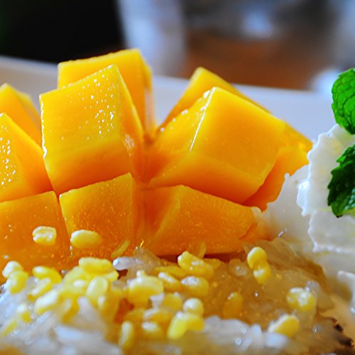 Augason Farms 5-10205 Freeze Dried Diced Mango 9.52 Oz No. 10 Can thumb #5