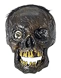 Forum Novelties Rotten Skull Prop Costume Accessory, One Size, As Shown