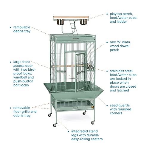 Image of Prevue Pet Products Wrought Iron Select Bird Cage - Large Steel Cage with Rolling Stand, Seed Guards, and Playtop, Durable Design, Ideal for Conures and Medium Birds - Sage Green