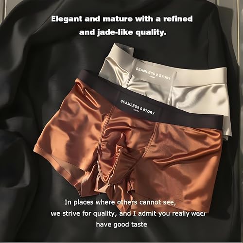 Elegant Silk Men's Ice Silky Underwear Mulberry Silk Men's Boxer Briefs, Seamless Comfort2