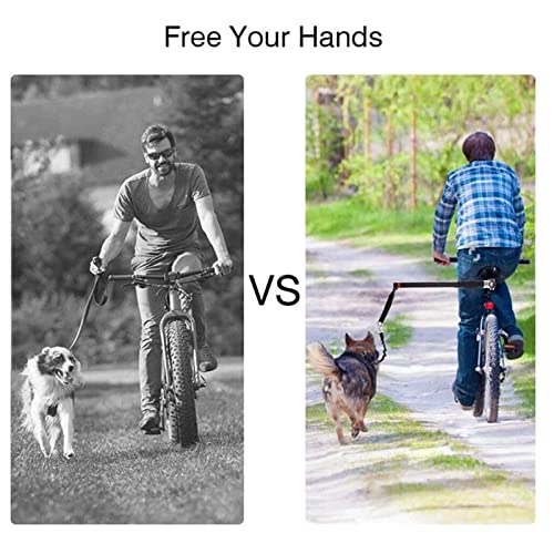Laisse rétractable pour chien avec fixation rapide pour petits et grands - 5