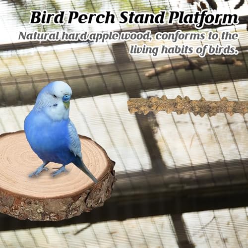 Image of 6Pcs Natural Wooden Bird Perch Grape Stick Claw Grinding Fork Bird Perching Branch Claw Grinding Stick Parrot Standing Platform Parrot Cage Chewing Accessories for Parrots Lovebirds Parakeets