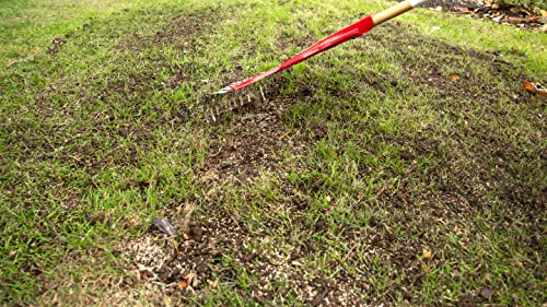 Scotts Turf Builder Quick & Thick Grass Seed, 1.2kg (173 sq Meters / 1,863 sq feet Coverage) | Grow a Thick, Green Lawn Fast. for Areas that Experience Sun & Shade image 8