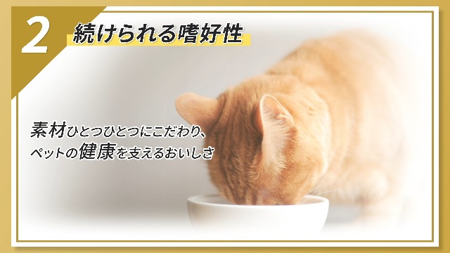 Amazon | VetsWell(ベッツウェル) 猫用食事療法食 下部尿路ケア 低脂肪