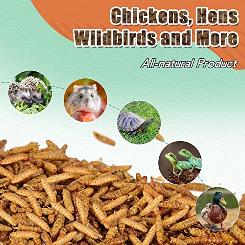 LuckyQworms Dried Black Soldier Fly Larvae, 85X More Calcium Than Mealworms HighProtein BSF