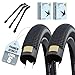 2er Set Schwalbe Fahradreifen Billy Bonkers 20x2,00 Zoll(50-406) + AV/DV/SV/SCV/Ohne Schlauch und 3 Metall Reifenheber E Bike
