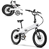 LECTRIC XP Lite 2.0 Electric Bike