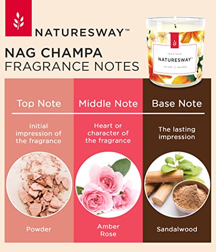 Stillwater Bath And Body Nag Champa Odor Eliminating Scented Candle For Home - Non-Toxic, Long Lasting, All Natural Soy Wax Candle - 12.5 Ounce Jar With Lid - Handmade In The Usa #TOP2