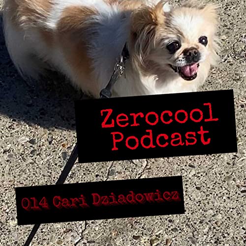 014 Zerocool Podcast With Cari Dziadowicz of ACT4Bali Dogs