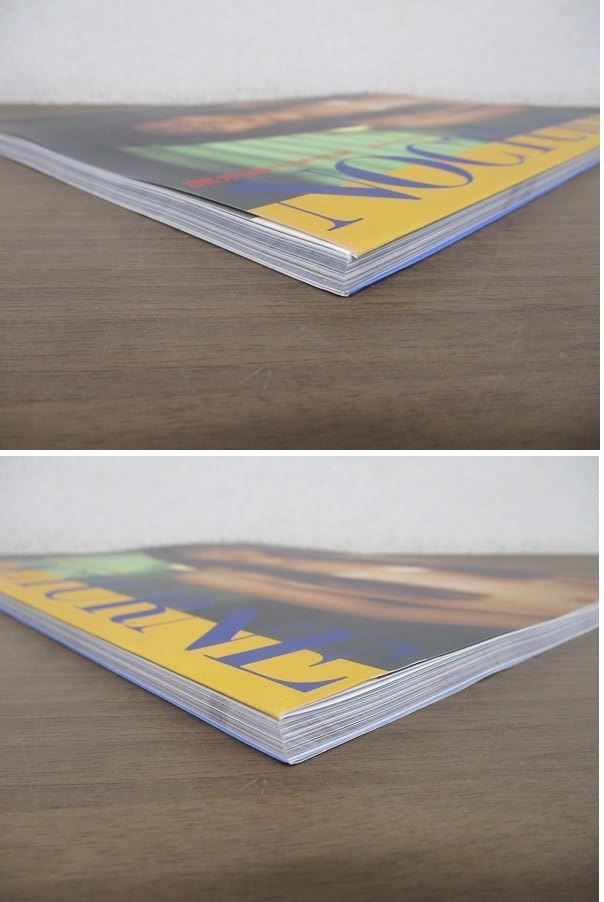 Amazon.co.jp: c9-1（蒲池幸子 写真集）ZARD 坂井泉水 NOCTURNE 初版