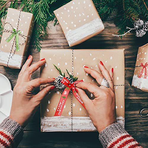 Nastri Natalizi,2 rotoli Nastro Organza