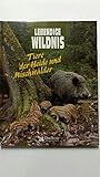 bienenfresser kaiserstuhl  Lebendige Wildnis. Tiere der Heide und Mischwälder. Schleiereulen, Wildschweine, Bienenfresser, Buntspechte, Hasen, Eichehähler, Ginsterkatzen, Bienen.