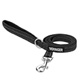 Best Pet Supplies Voyager Reflective Dog Leash with Neoprene Handle, Supports Small, Medium, and Large Breed Puppies, Cute and Heavy Duty for Walking, Running - Black, M, 3/4