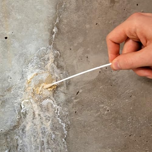 Kit moisissures pour stopper les champignons visibles grâce à l'analyse labo - 4