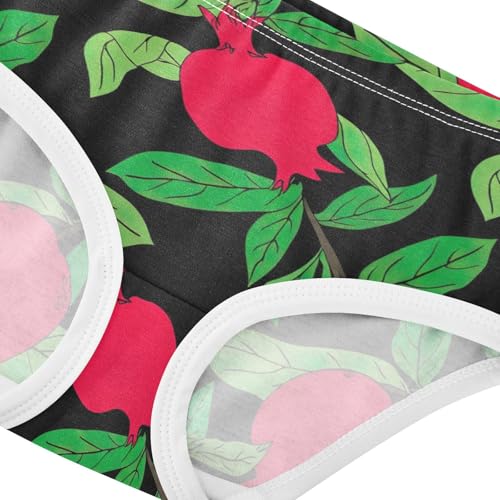 Animal Toddler Underwear Floral 2t Cotton Panties Little Girl Red Pomegranates Green Leaves Dark Briefs Girls Undies4