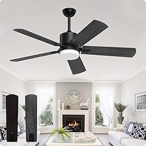 Biukis Ceiling Fans with Lights and Remote, 52 Inch Outdoor Modern Black Fan for Patio Farmhouse Bedroom