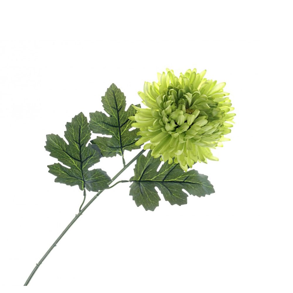 FloristryWarehouse Faux Silk Single Green Chrysanthemum Stem With Leaves 65cm/25 Inches Tall
