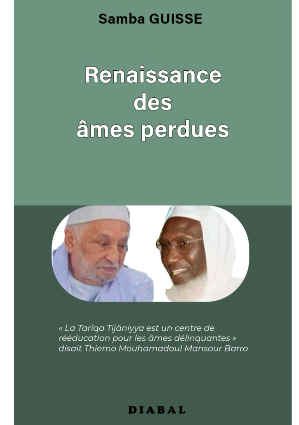 Renaissance des âmes perdues (French Edition)