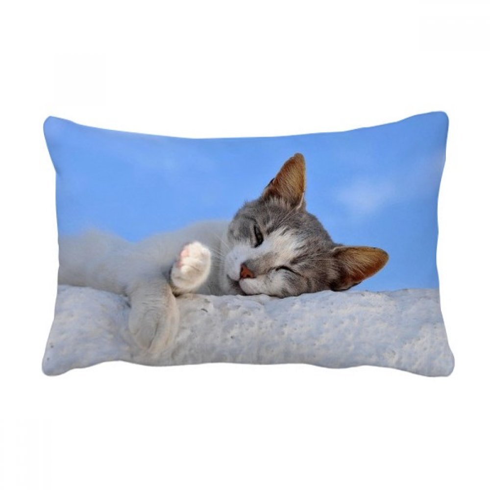 Coussin lombaire chat mignon 40x60 cm multicolore pour decoration canape