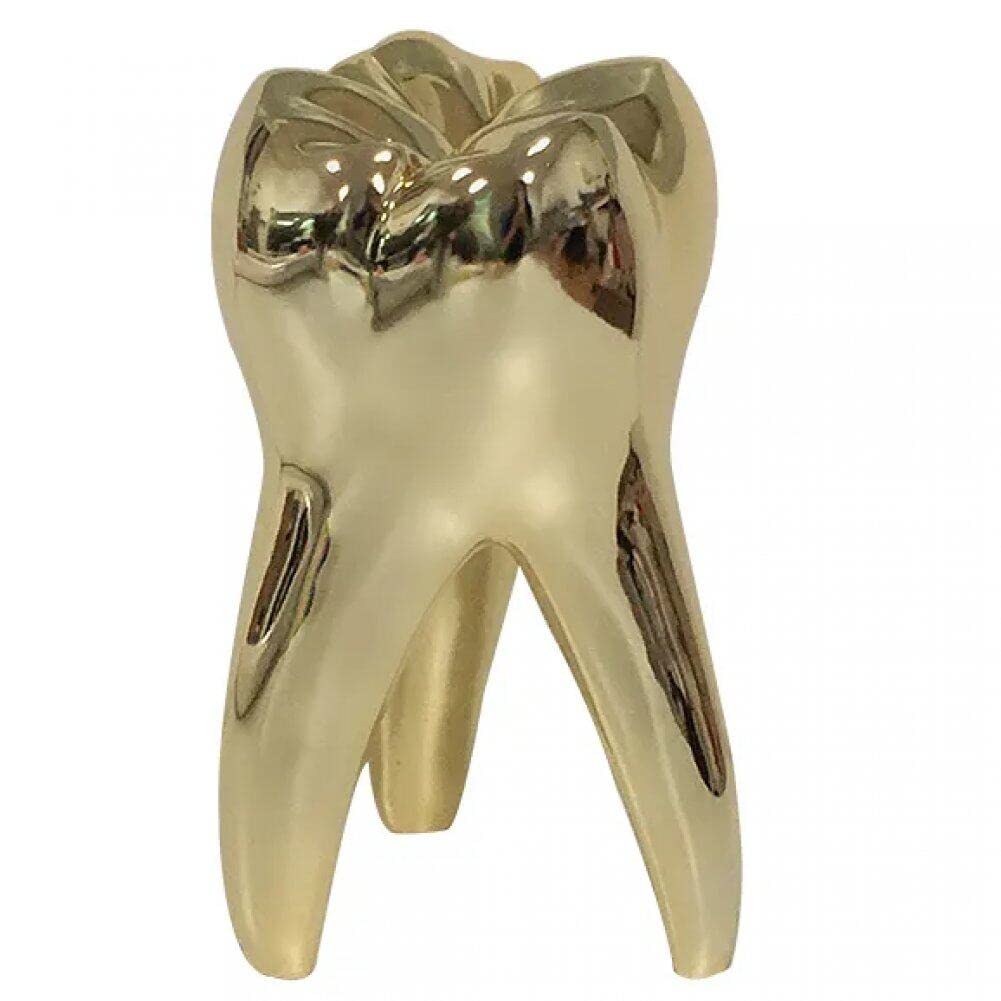 Wudaizhi Gold Teeth Model - Personalized Dental Hygienist Christmas Ornament Statue - For Dental Hygienist Dentist Dental Assistant Gifts,