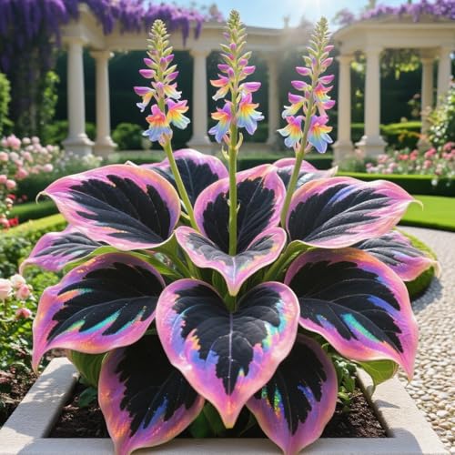 Hosta Ampoules décoratives pour pots, conteneurs et présentoirs d'intérieur - Ampoules A-15