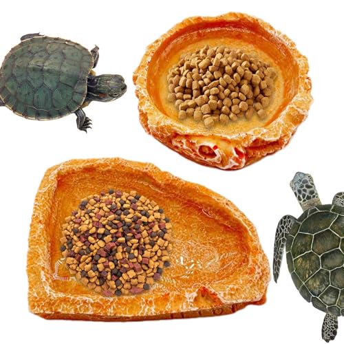 Samuliy Tazón de agua de cangrejo ermitaño – 2 platos de agua para alimentos de cangrejo ermitaño, cuencos de agua para reptiles, accesorio de acuario de tanque, plato de alimentación de reptiles para