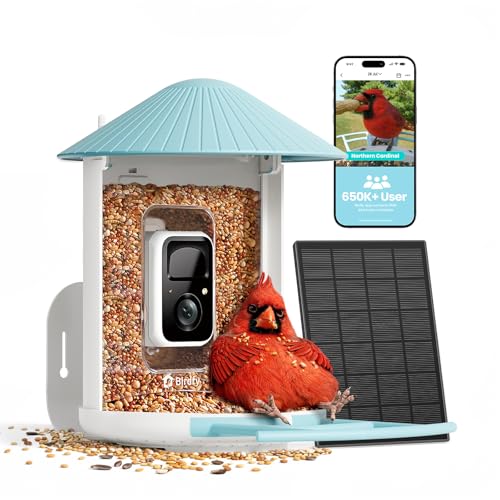 NETVUE by Birdfy Smart Bird Feeder with 2K HD AI Camera Solar Powered, Wireless Wildbird Watching, Live Stream&Color Night Vision, Auto-Capture & Notify, Free Cloud Storage(AI by Subscriptio