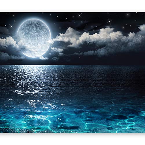 murando Fotomurales 350x256 cm XXL Papel pintado tejido no tejido Decoración de Pared decorativos Murales moderna de Diseno Fotográfico paisaje naturaleza c-B-0083-a-a