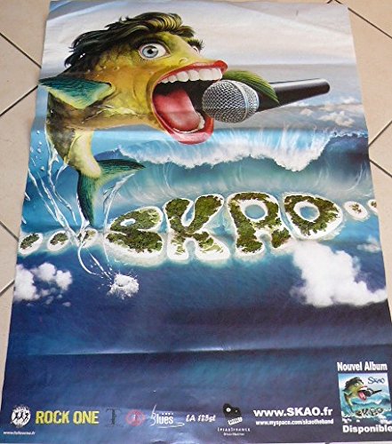 Affiche Skao 70x100 cm grand format poster de décoration murale salon