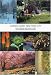 Garden Guide: New York City (Garden Guides)