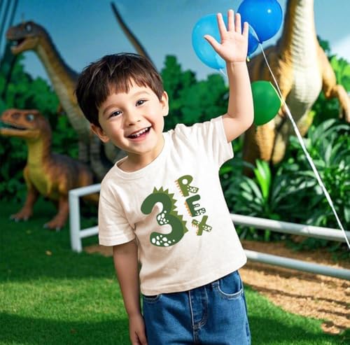2-6 Rex Birthday Shirts Toddler Kids Dinosaur Theme Birthday T-Shirts Cotton Short Sleeve Tees2
