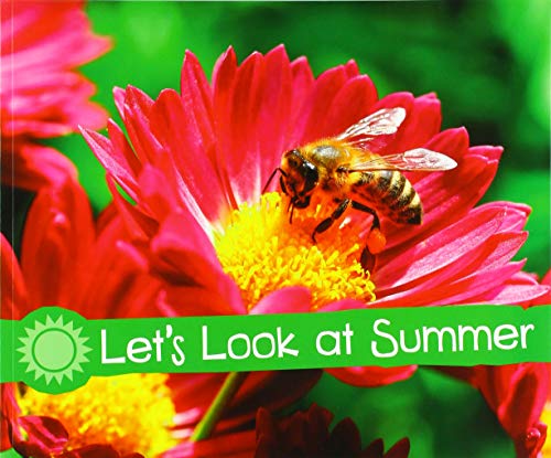 Let's Look at Summer (Pebble Plus: Investigate the Seasons)