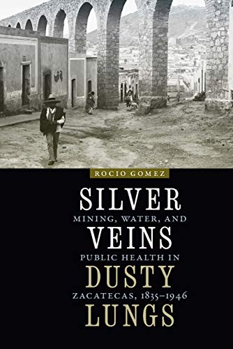 Silver Veins, Dusty Lungs: Mining, Water, and Public Health in Zacatecas, 1835–1946 (The Mexican Experience)