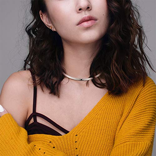 Hooami 2Pcs Choker Necklace Women Silver Stainless Steel Statement Collar Necklace 16 Inches (3Mm Width) #TOP3