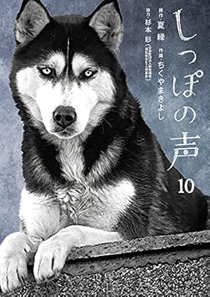 Amazon.co.jp: しっぽの声 (13) (ビッグコミックス) : 夏 緑, ちくやま