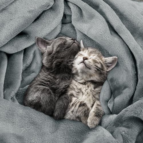 image for Utopia Bedding Fleece Blanket Full Size Ash Grey 300GSM Luxury Fuzzy S