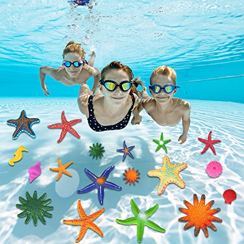Natonhi 24 Pcs Pool Toys For Kids Colorful Soft Rubber Diving Starfish Seashells Conch Toys，Kids Birthday Swimming Pool Beach Party Favors Toys Fish Tank Stuffer #TOP3