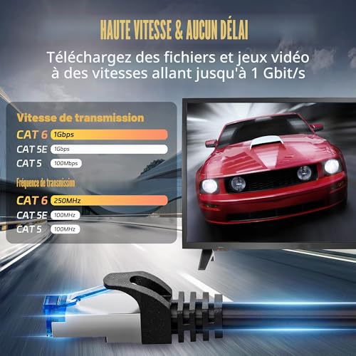 Soibke Cable Ethernet 5m Cat 6 Noir Câble RJ45 5 Mètre Gigabit Blindé FTP – vue 2