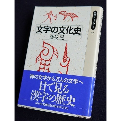 Moji no bunkashi (Dōjidai raiburarī) (Japanese Edition) Moji no bunkashi (Dōjidai raiburarī) (Japanese Edition)