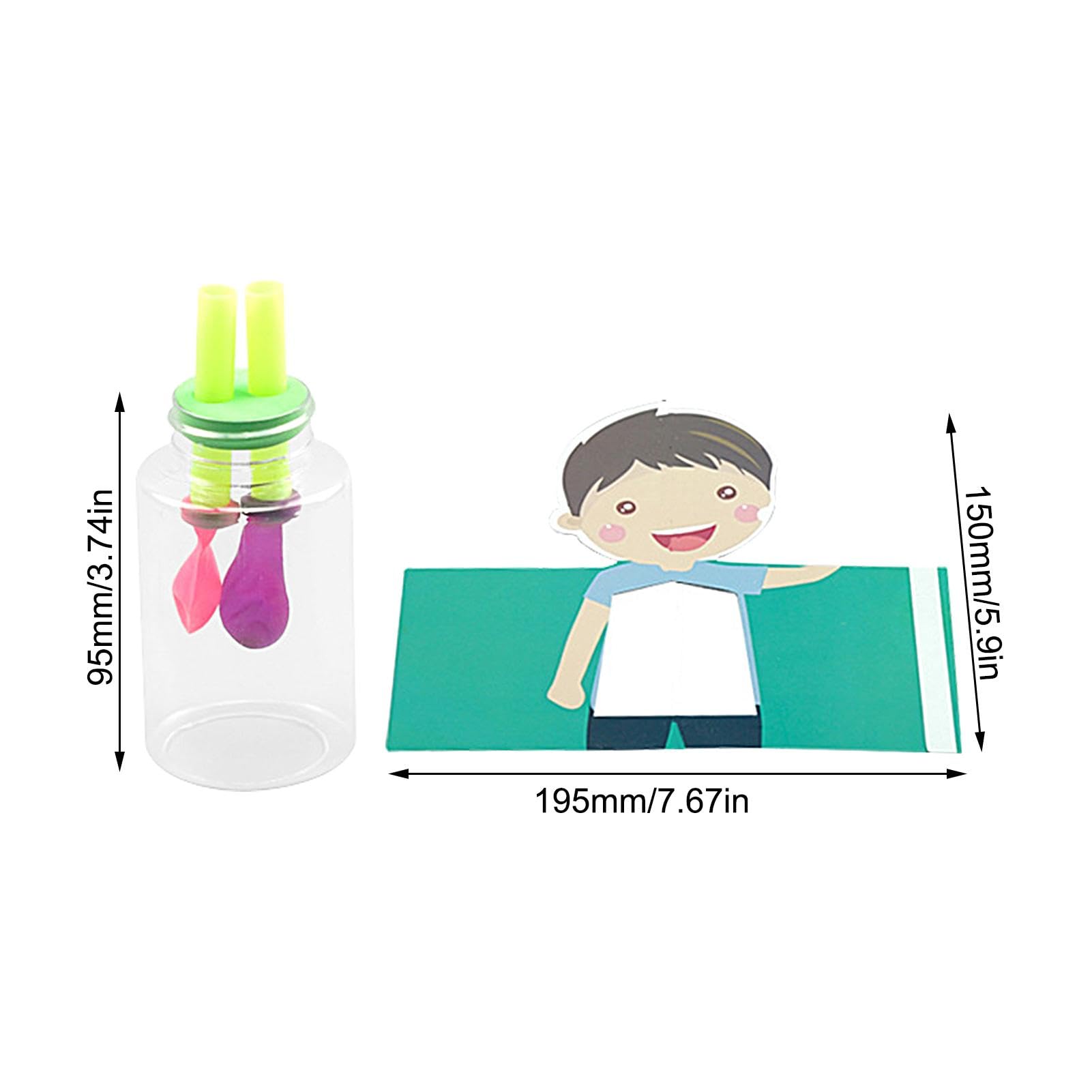 Amazon | 肺模型,子供用肺模型 | 肺呼吸デモンストレーションモデル