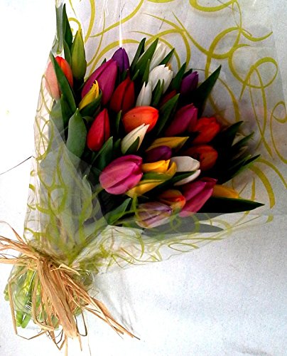 Ramo 30 Tulipanes Naturales Variados para Regalar. PORTES GRATIS