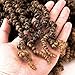 3 Packs Short Curly Spring Pre-twisted Braids Synthetic Crochet Hair Extensions 10 inch 15 strands/pack Ombre Braids Fiber Fluffy Braiding Hair Bulk (10“, T1B/27#)