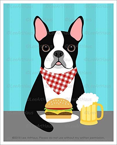 boston terrier not eating