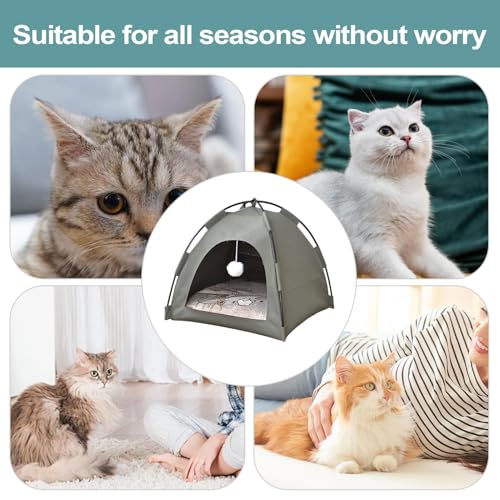 Tente pour chats avec tissu respirant et structure nid portable - 5